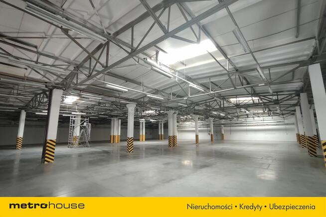 Hala 2409 m² - Produkcja i magazyny - 250 Kw