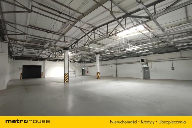 Hala 2409 m² - Produkcja i magazyny - 250 Kw