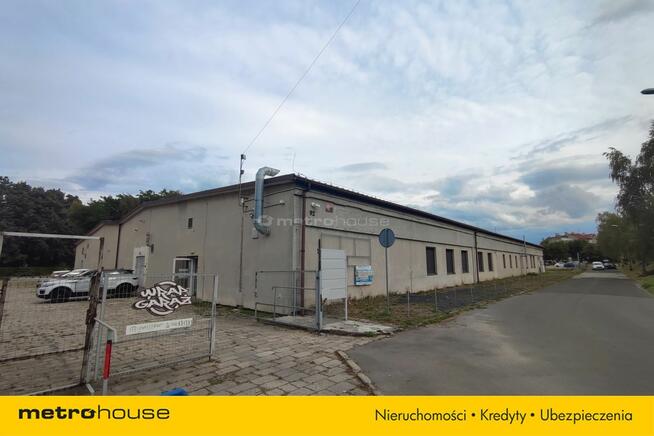 Hala 2409 m² - Produkcja i magazyny - 250 Kw