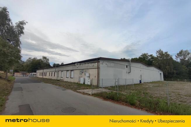 Hala 2409 m² - Produkcja i magazyny - 250 Kw