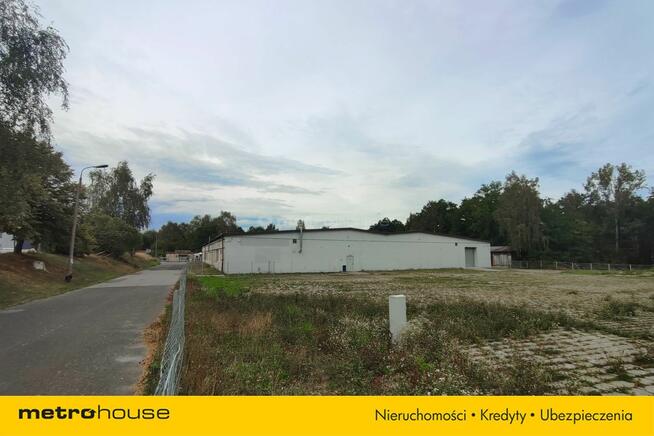 Hala 2409 m² - Produkcja i magazyny - 250 Kw