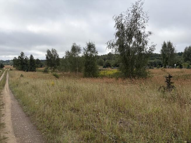 Działka rekreacyjna 3001 m² – Storkowo, gm. Ińsko
