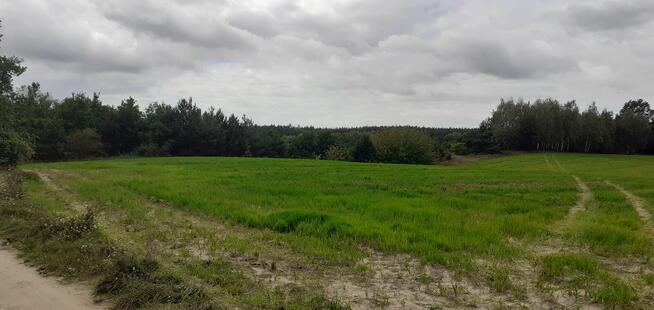 Działka rekreacyjna 624m2, nad jeziorem, prąd, woda, Chodecz