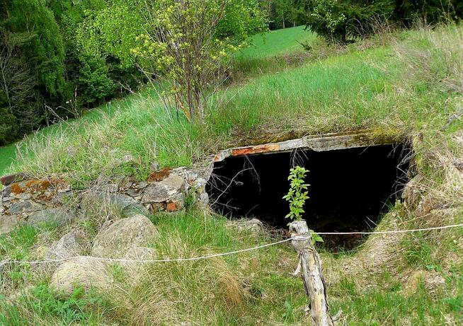Działka o powierzchni 0,5442 ha - Wólka, gm. Filipów