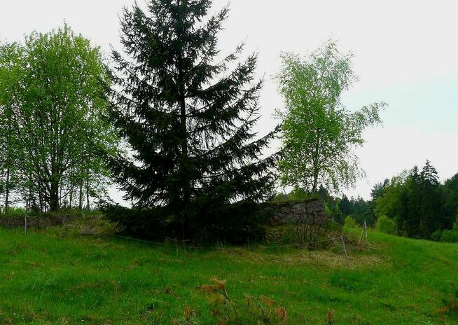 Działka o powierzchni 0,5442 ha - Wólka, gm. Filipów