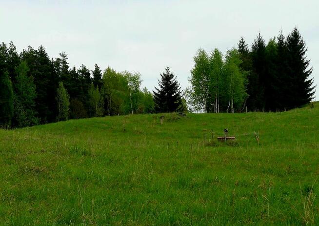 Działka o powierzchni 0,5442 ha - Wólka, gm. Filipów