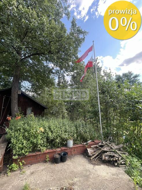 Staw z zagajnikiem na działce budowlanej wydana WZ