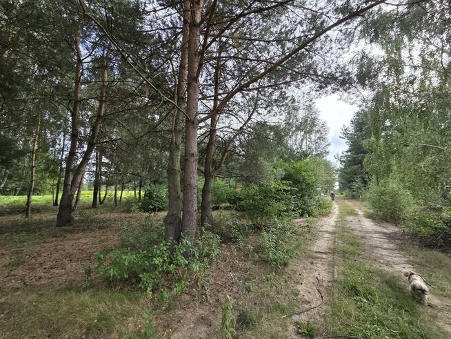Działka budowlana Kąck gm. Wiązowna