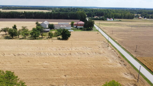 Działka 1,13 ha (starodrzew) 1,5 godz. od Warszawy