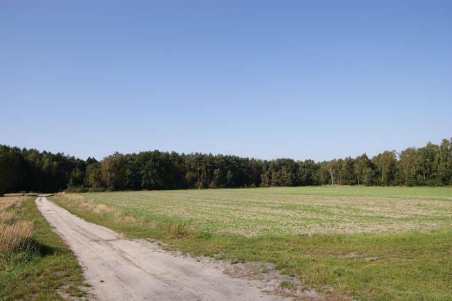 Działka budowlana 18ar obok jezioro Krasne