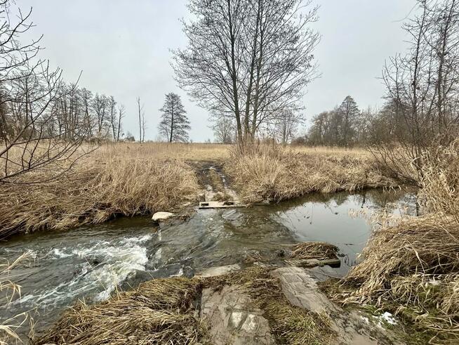 Działka rolno-budowlana Nowy Bartków gm. Korczew