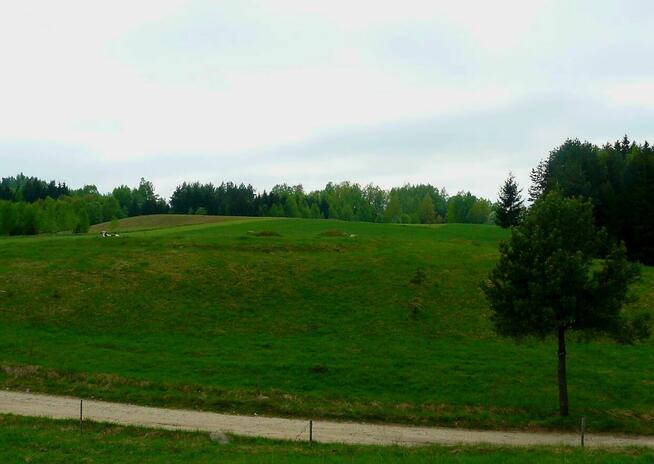 Działka o powierzchni 0,5442 ha - Wólka, gm. Filipów