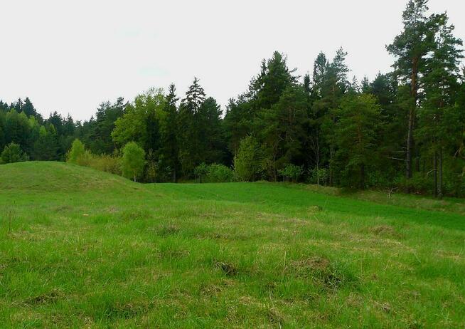 Działka o powierzchni 0,5442 ha - Wólka, gm. Filipów