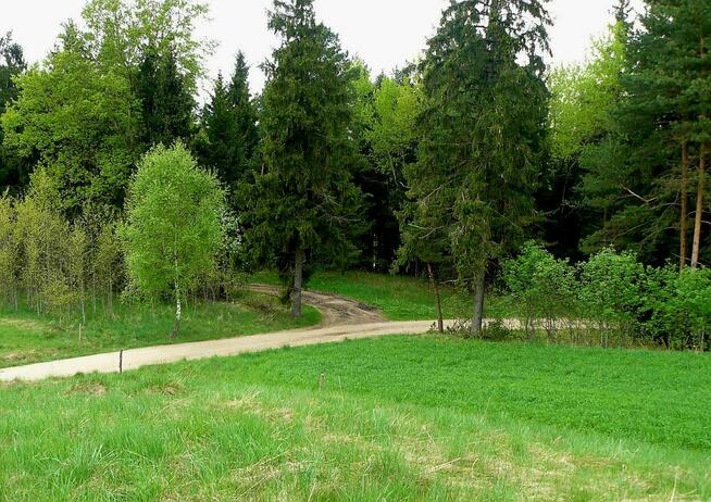 Działka o powierzchni 0,5442 ha - Wólka, gm. Filipów