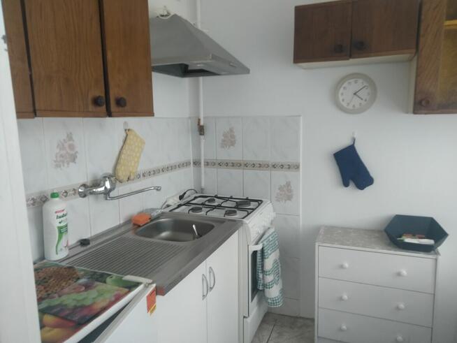 kawalerkę w Gdańsku Oliwie wynajmę
