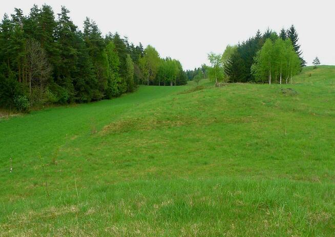 Działka o powierzchni 0,5442 ha - Wólka, gm. Filipów