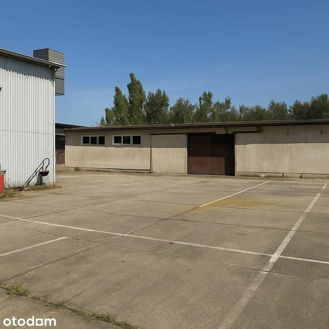 Hala produkcyjna 600 m² Teofilów | 400 kW | TIR | ogrzewana