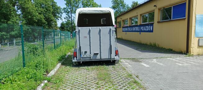 Przyczepa do przewozu koni/krów