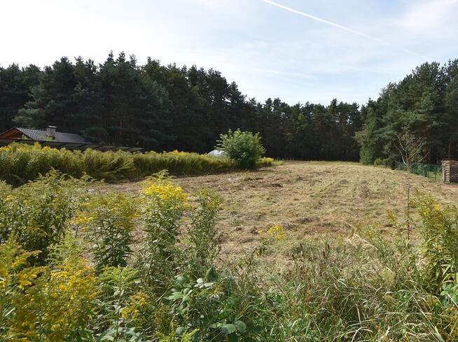 Sprzedaż domu z 3 dziakłami 33ar,Szczedrzyk,Opole.