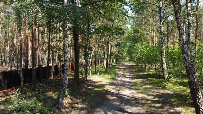 Działka leśna Warszawa gm. Wesoła Wesoła, Bolesława Prusa