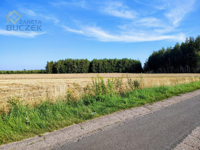 Działka rolna Piskorzec gm. Iłów,