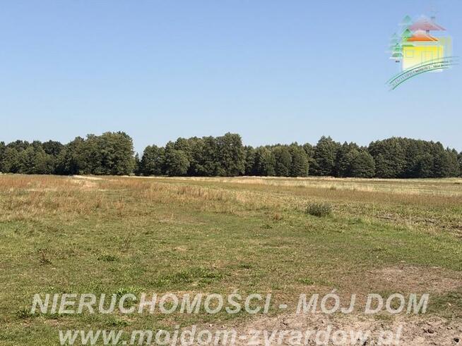 Działka rolno-budowlana Aleksandria gm. Puszcza Mariańska