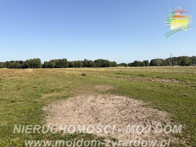Działka rolno-budowlana Aleksandria gm. Puszcza Mariańska