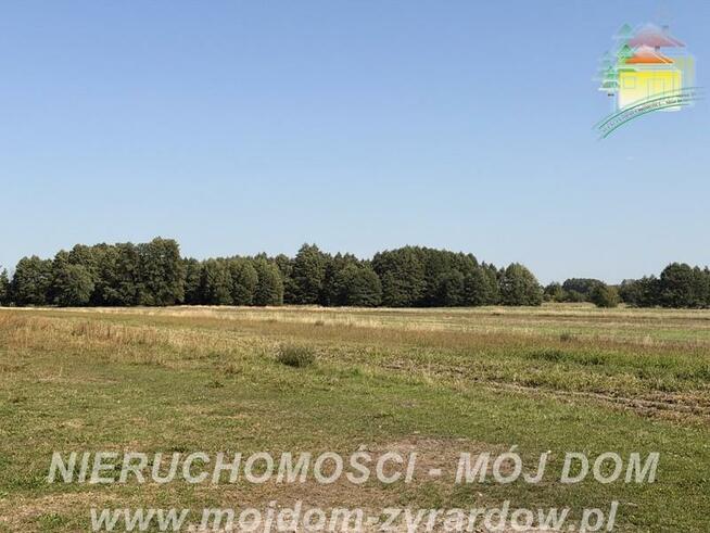 Działka rolno-budowlana Aleksandria gm. Puszcza Mariańska