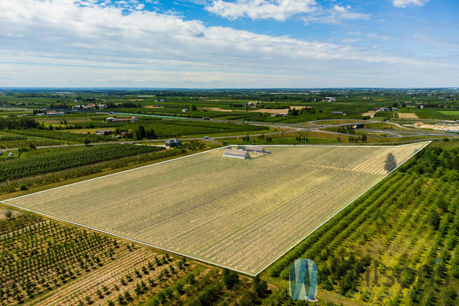 Działka przemysłowa Józefów gm. Pniewy,