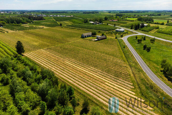 Działka przemysłowa Józefów gm. Pniewy,