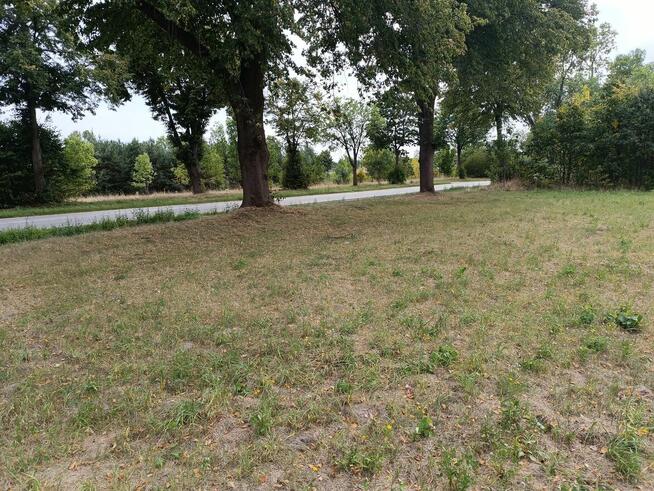 Działka budowlana 1500 m2 dogodne wymiary, media w drodze.
