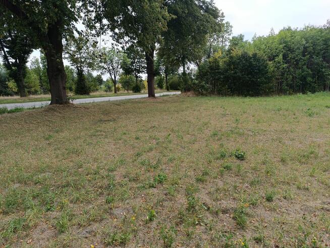 Działka budowlana 1500 m2 dogodne wymiary, media w drodze.