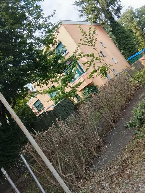 Pielęgnacja ogrodów karczowanie działek