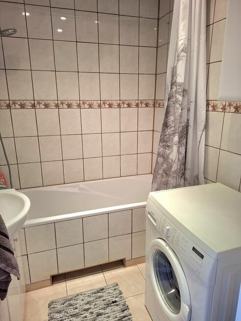 Pokój jednoosobowy na wynajem od 01.10.2026 r.