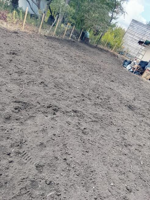 Pielęgnacja ogrodów karczowanie działek