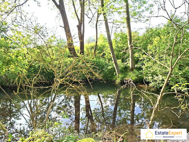 Dom z własną rzeką i sadem! 300 m² + 1800 m² działki – Świątniki, gm. Wodzisław