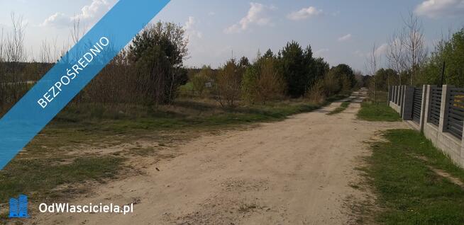 1,57ha sprzedam tanio !
