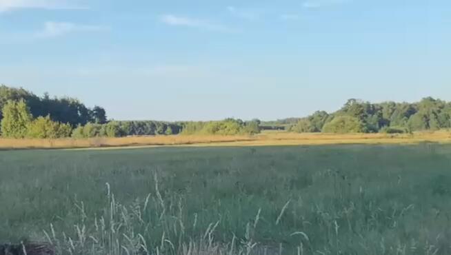 Działka z linią brzegową- kamper, przyczepa,namiot