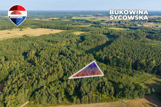 Działka leśna pow. 29.600 m², Bukowina Sycowska