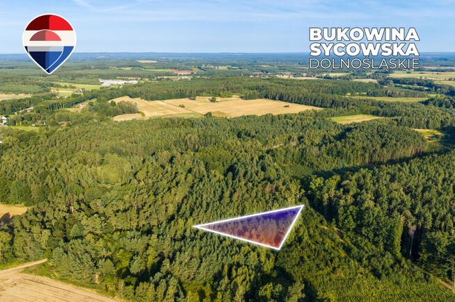 Działka leśna pow. 29.600 m², Bukowina Sycowska