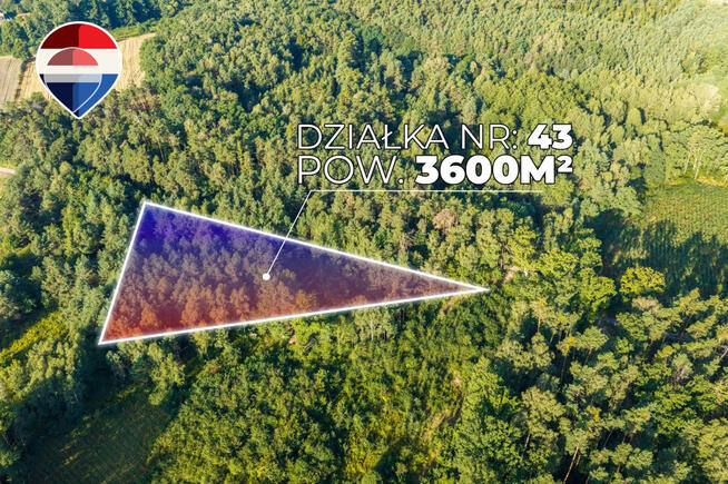 Działka leśna pow. 29.600 m², Bukowina Sycowska