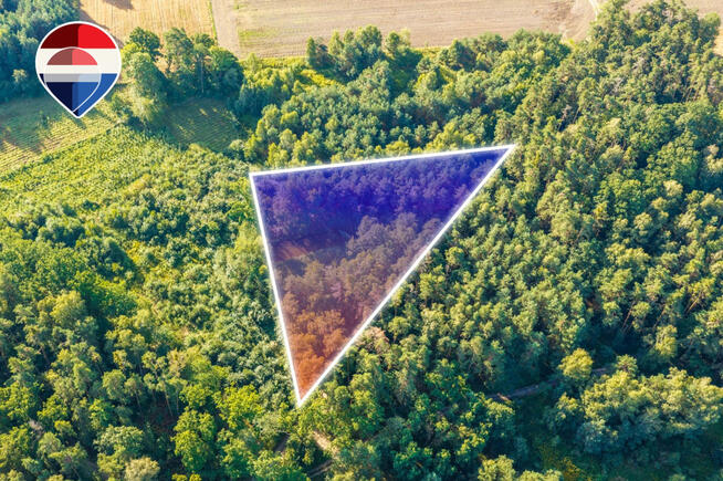 Działka leśna pow. 29.600 m², Bukowina Sycowska