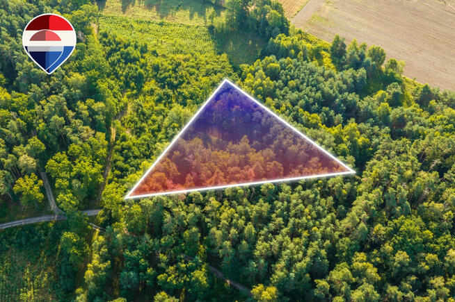 Działka leśna pow. 29.600 m², Bukowina Sycowska