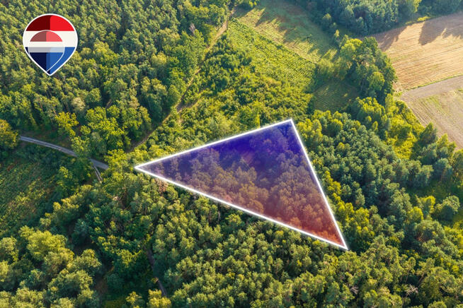 Działka leśna pow. 29.600 m², Bukowina Sycowska