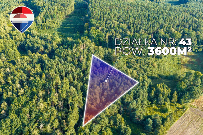 Działka leśna pow. 29.600 m², Bukowina Sycowska