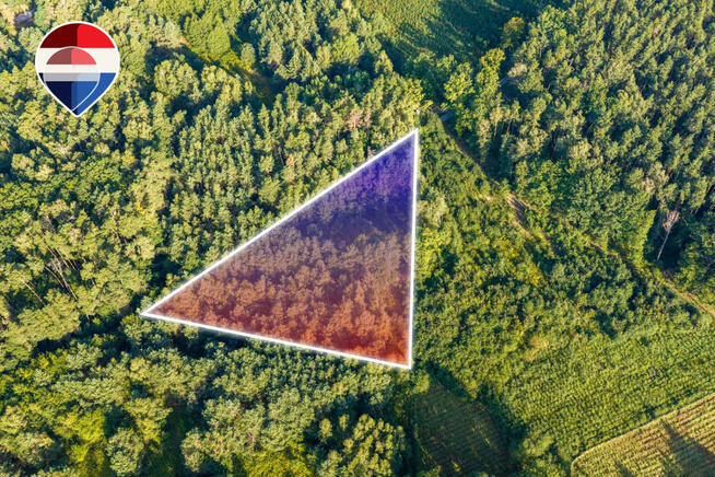 Działka leśna pow. 29.600 m², Bukowina Sycowska