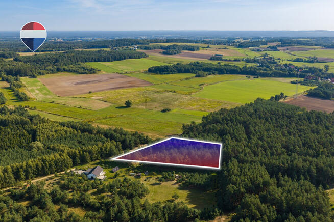 Działka leśna pow. 29.600 m², Bukowina Sycowska