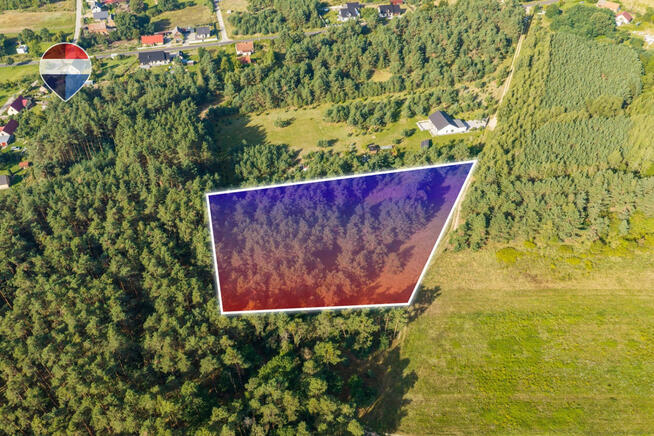 Działka leśna pow. 29.600 m², Bukowina Sycowska