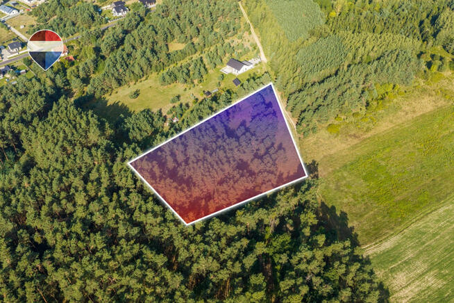 Działka leśna pow. 29.600 m², Bukowina Sycowska