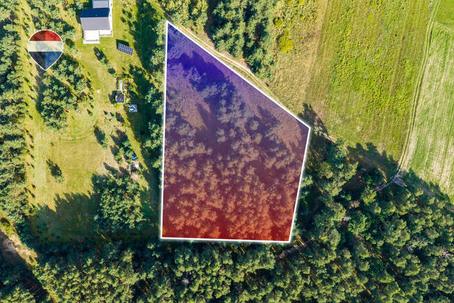Działka leśna pow. 29.600 m², Bukowina Sycowska